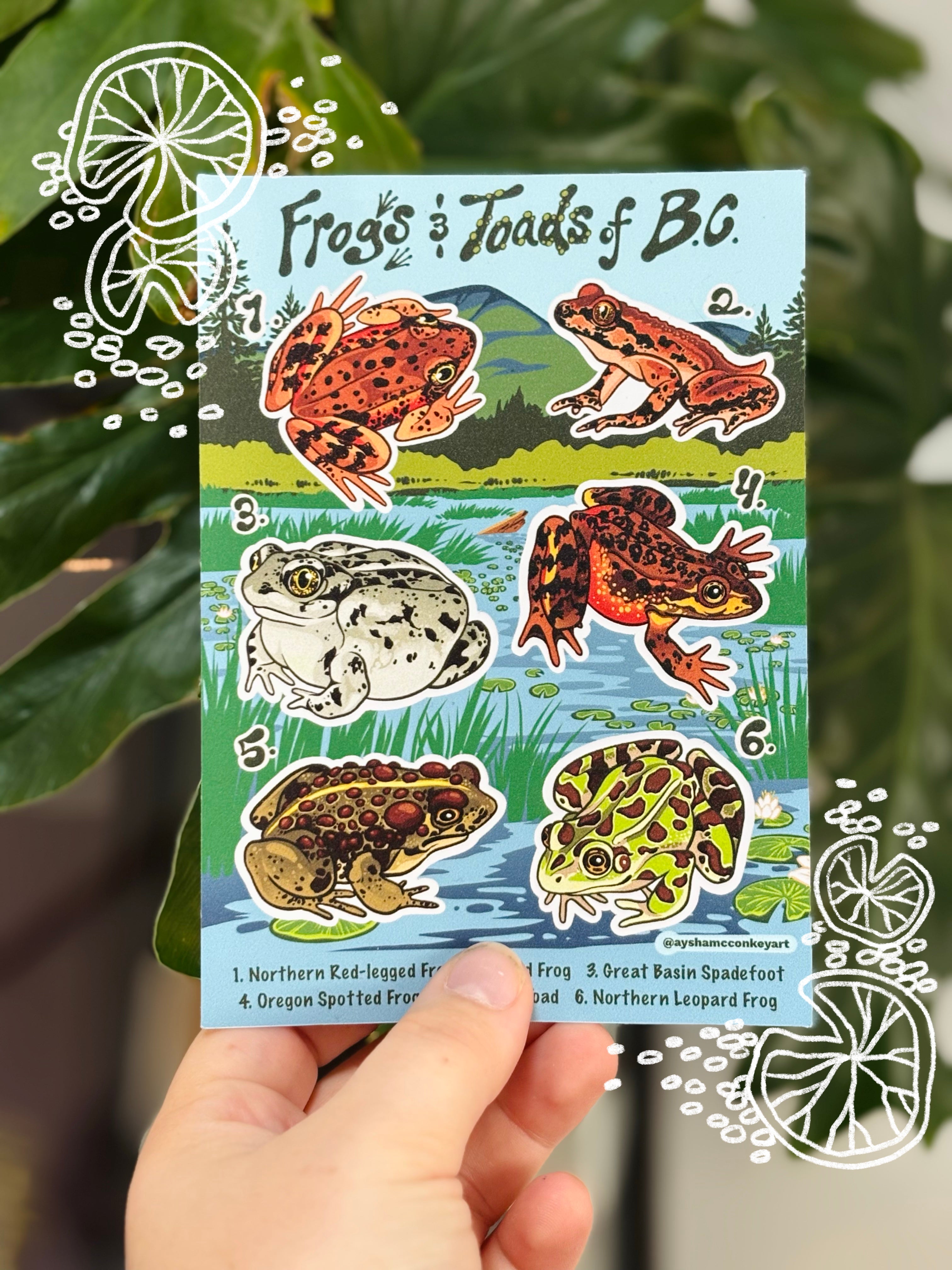 Frog and Toads of BC Sticker Sheet