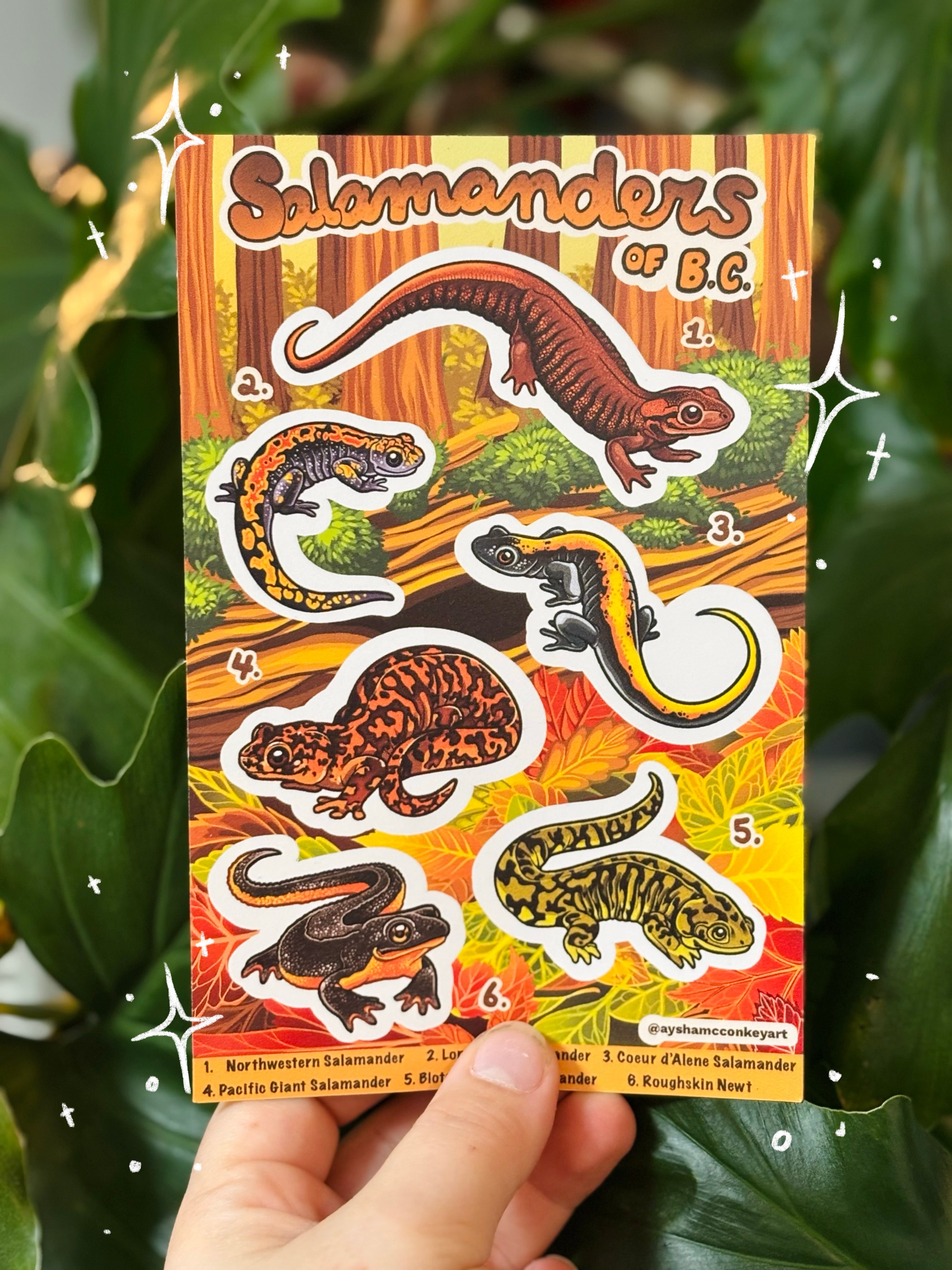 Salamanders of BC Sticker Sheet