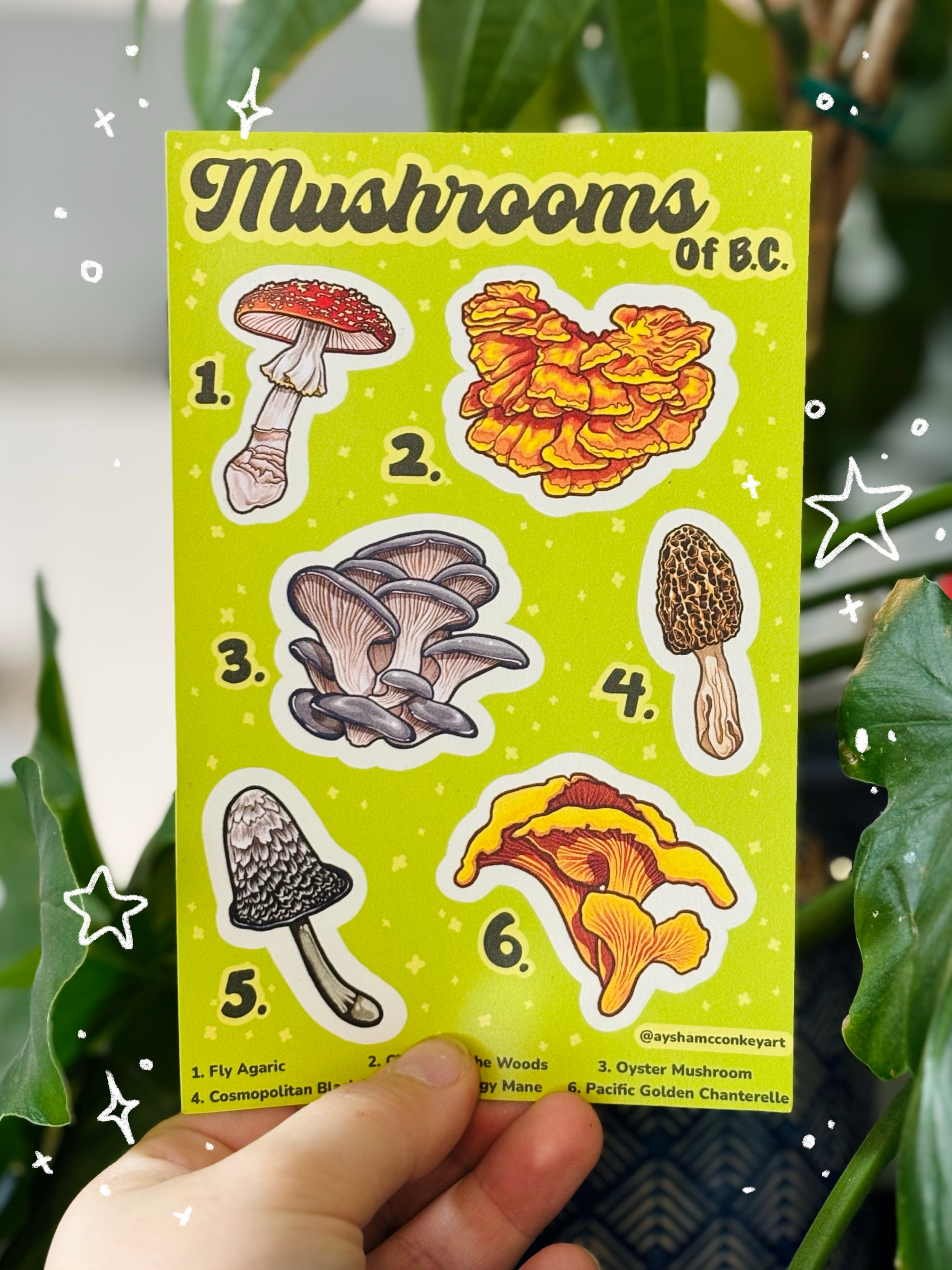 Mushroom Sticker Sheet