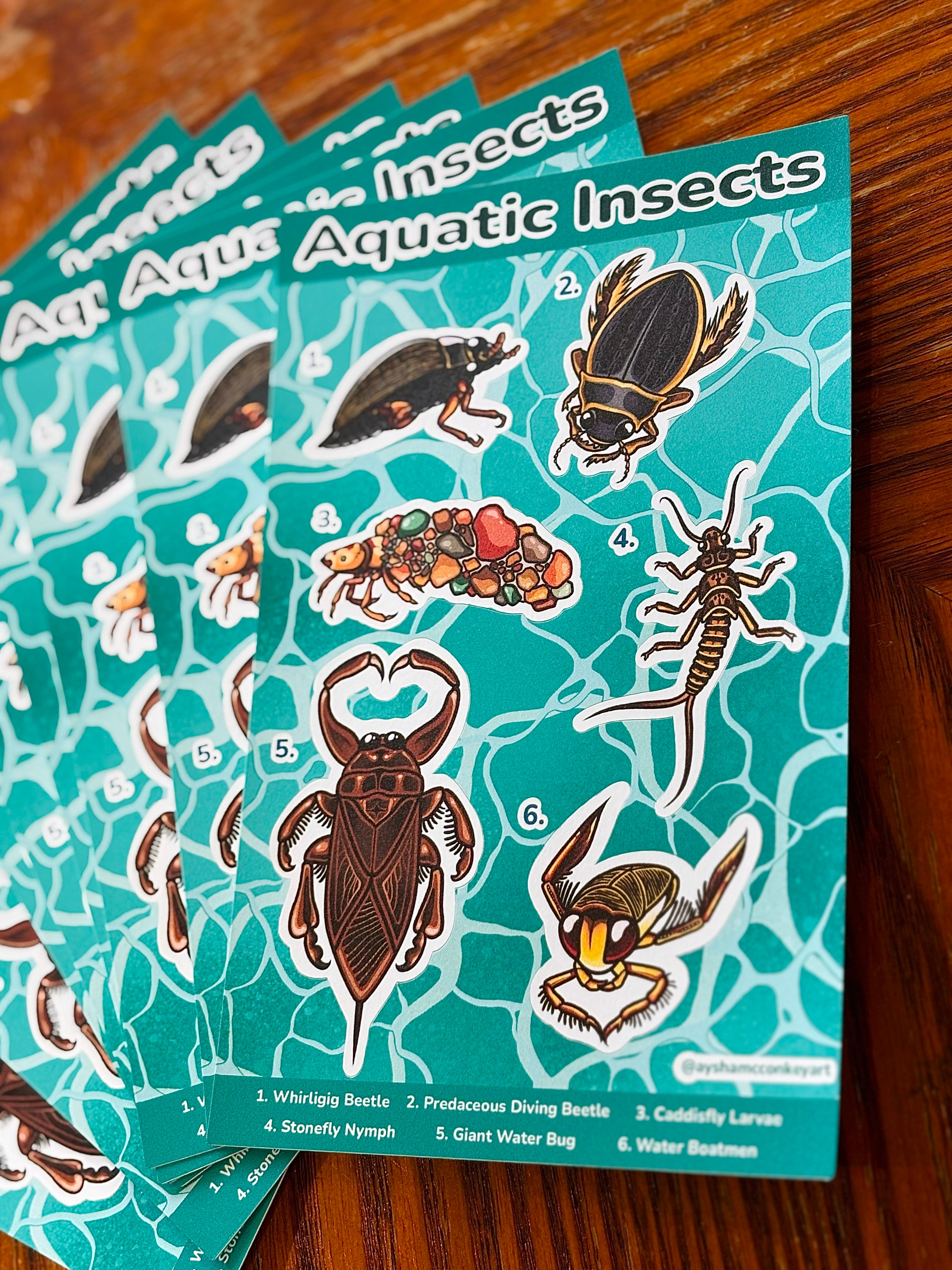 Aquatic Insects Sticker Sheet