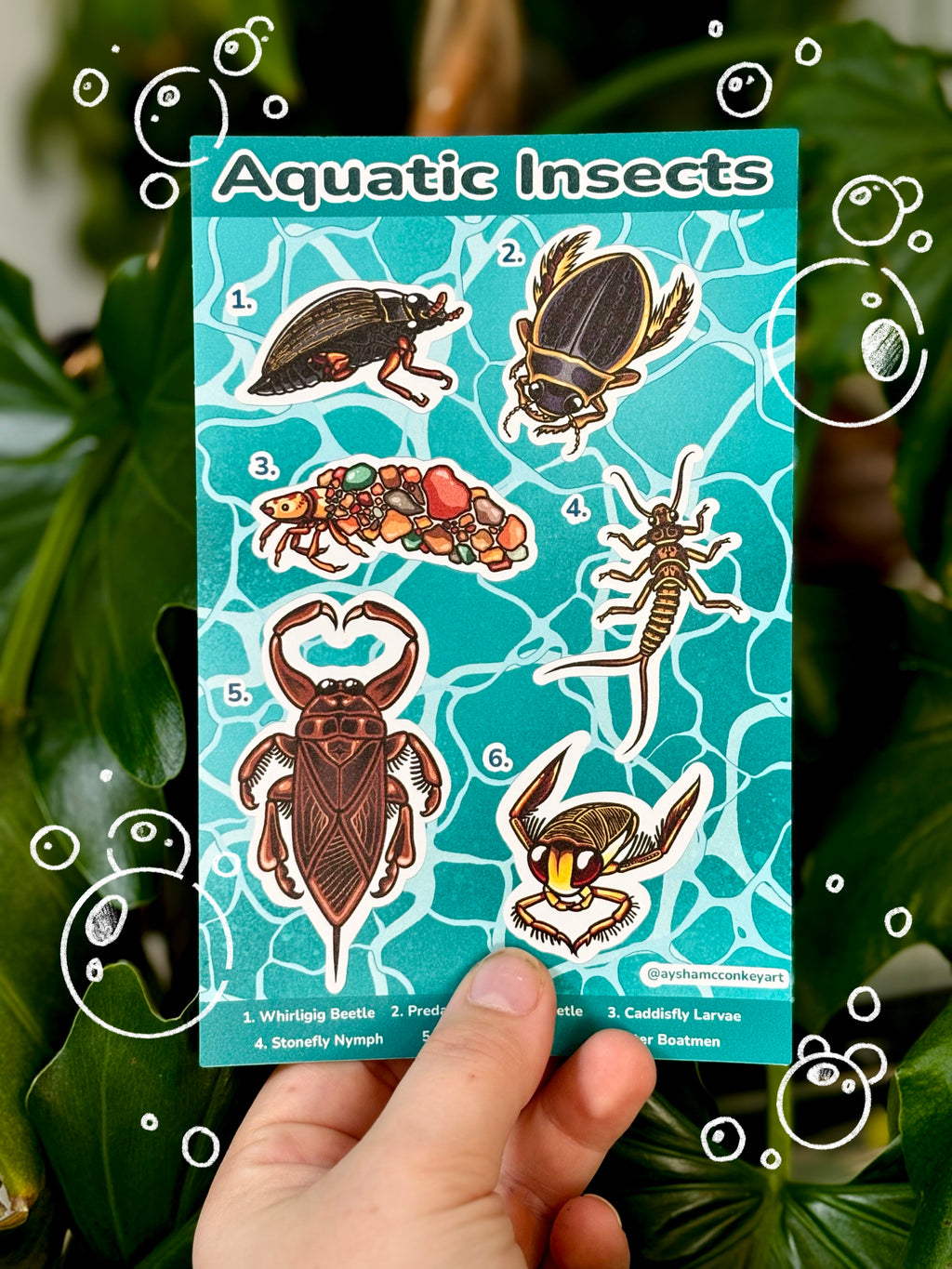 Aquatic Insects Sticker Sheet