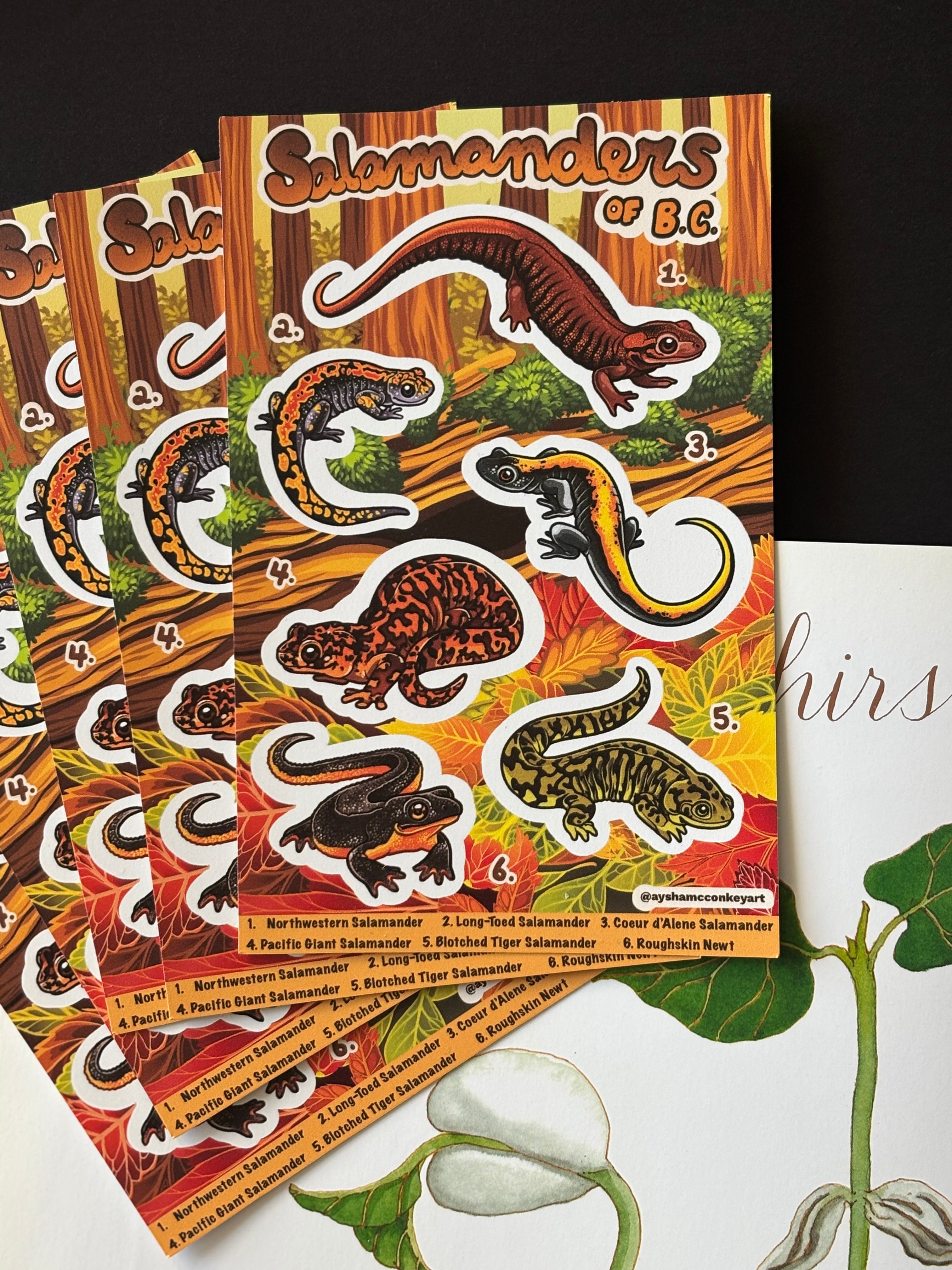 Salamanders of BC Sticker Sheet