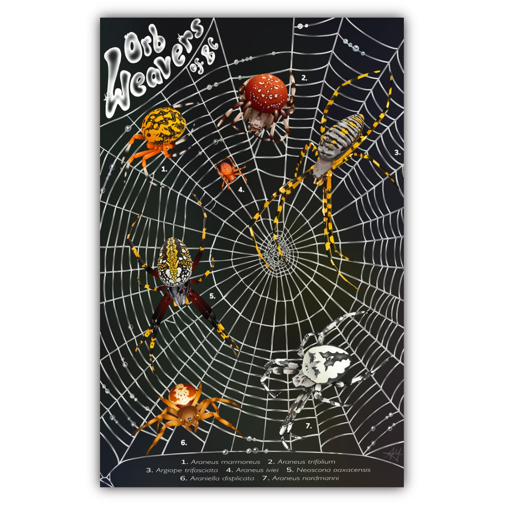 Orb Weavers of BC Art Print