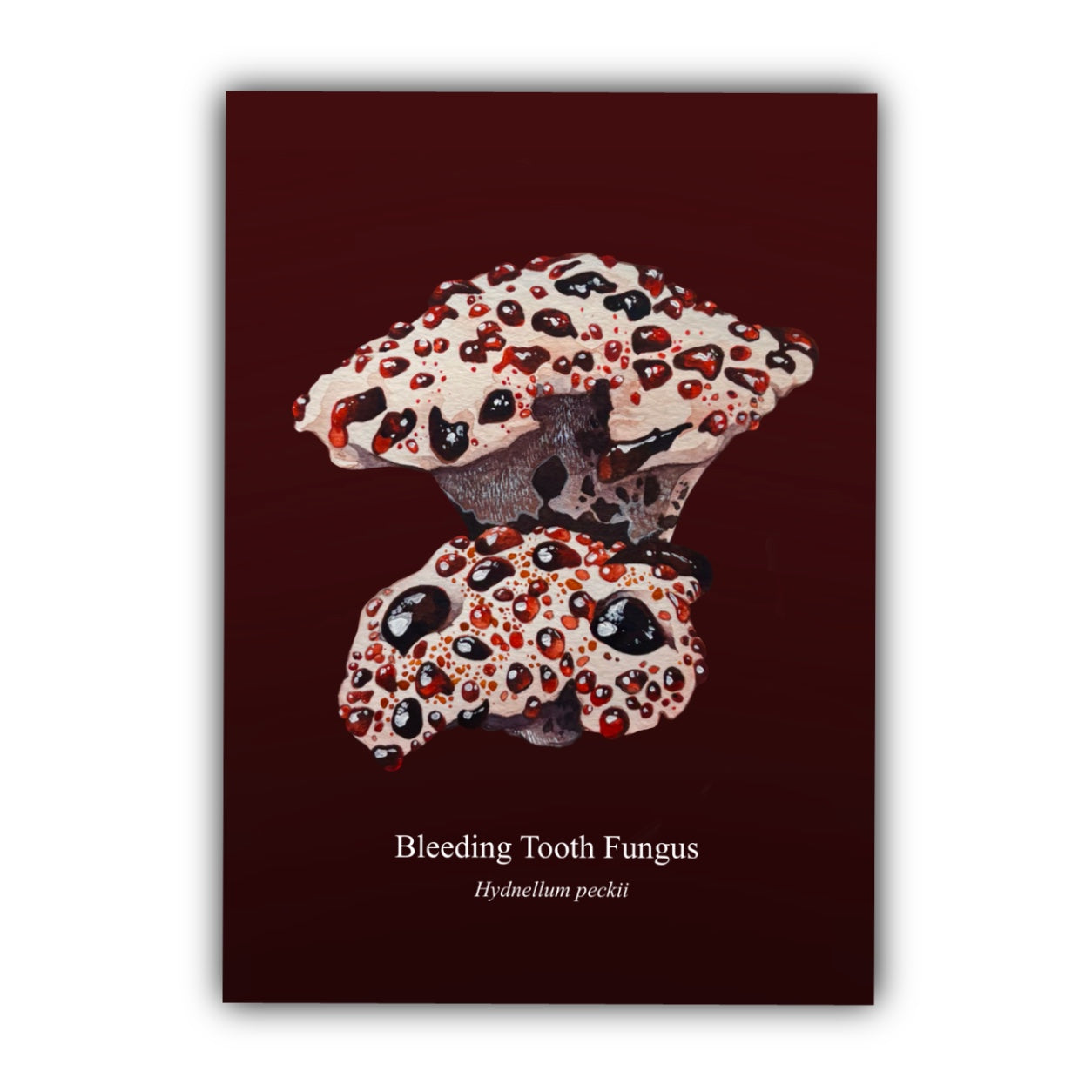Bleeding Tooth Fungus Art Print
