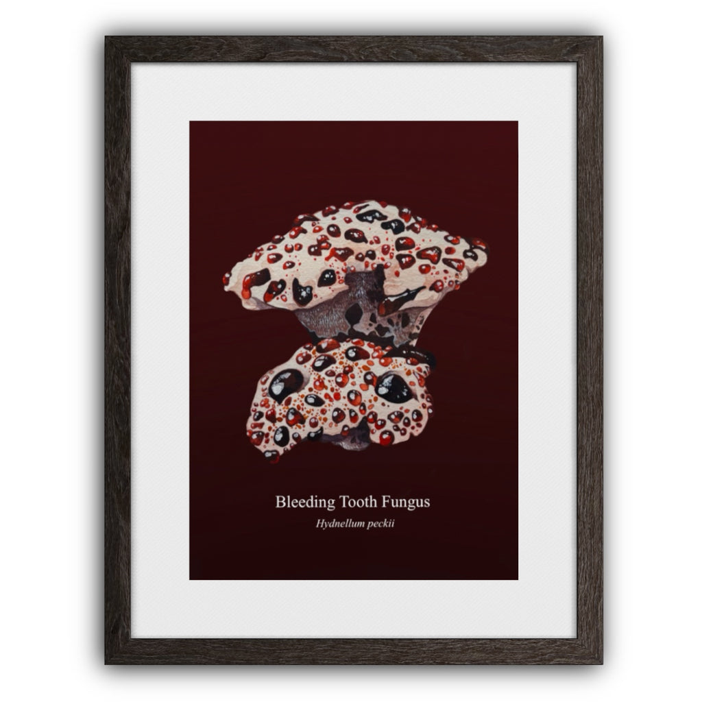 Bleeding Tooth Fungus Art Print