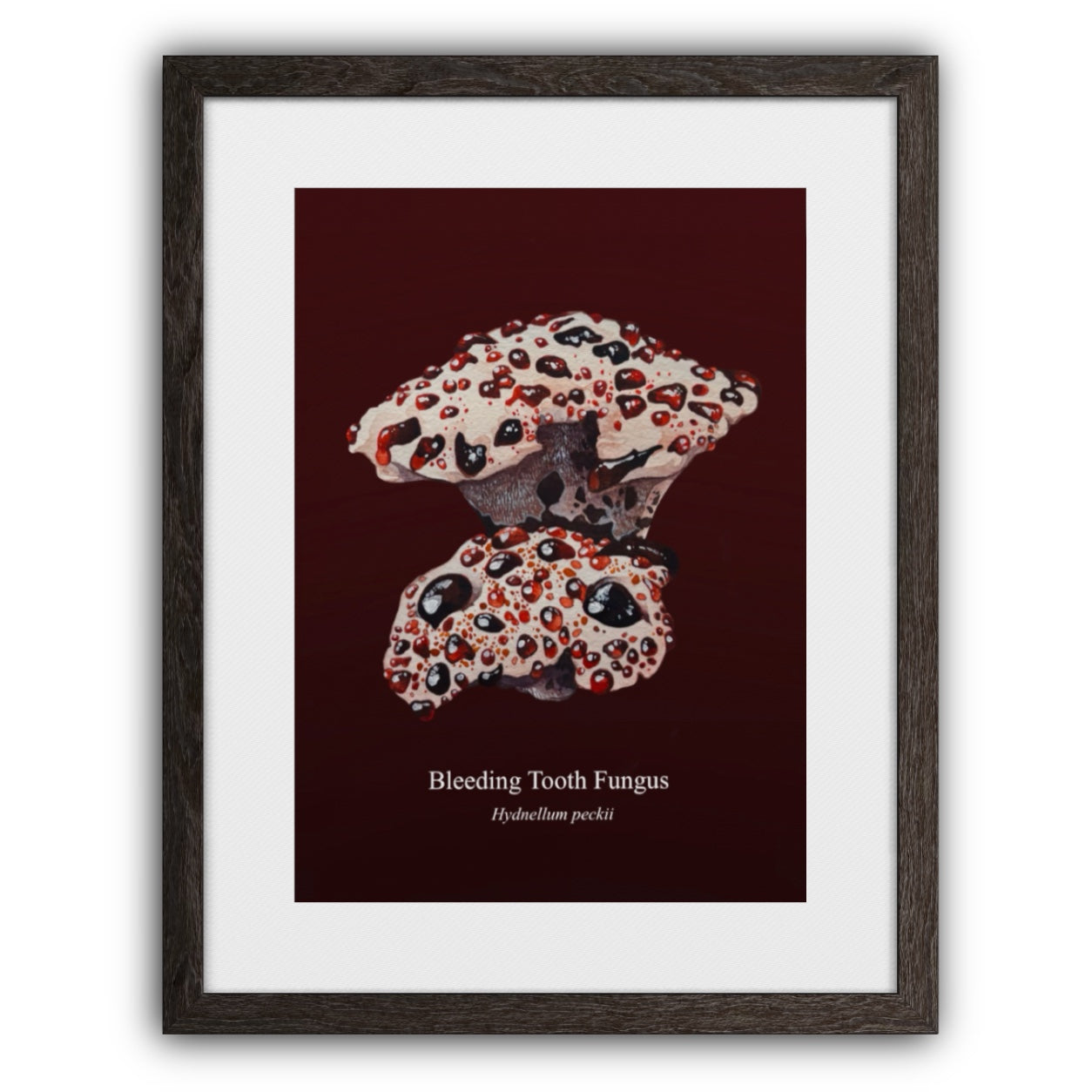 Bleeding Tooth Fungus Art Print