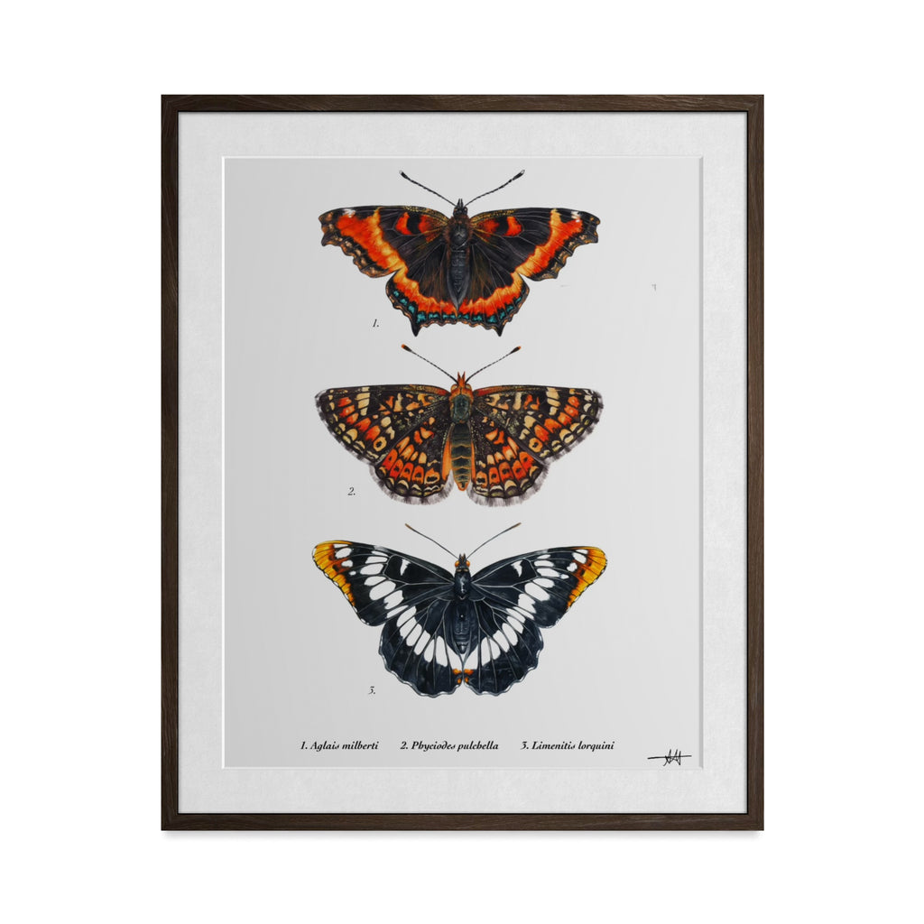 Orange Butterflies Art Print