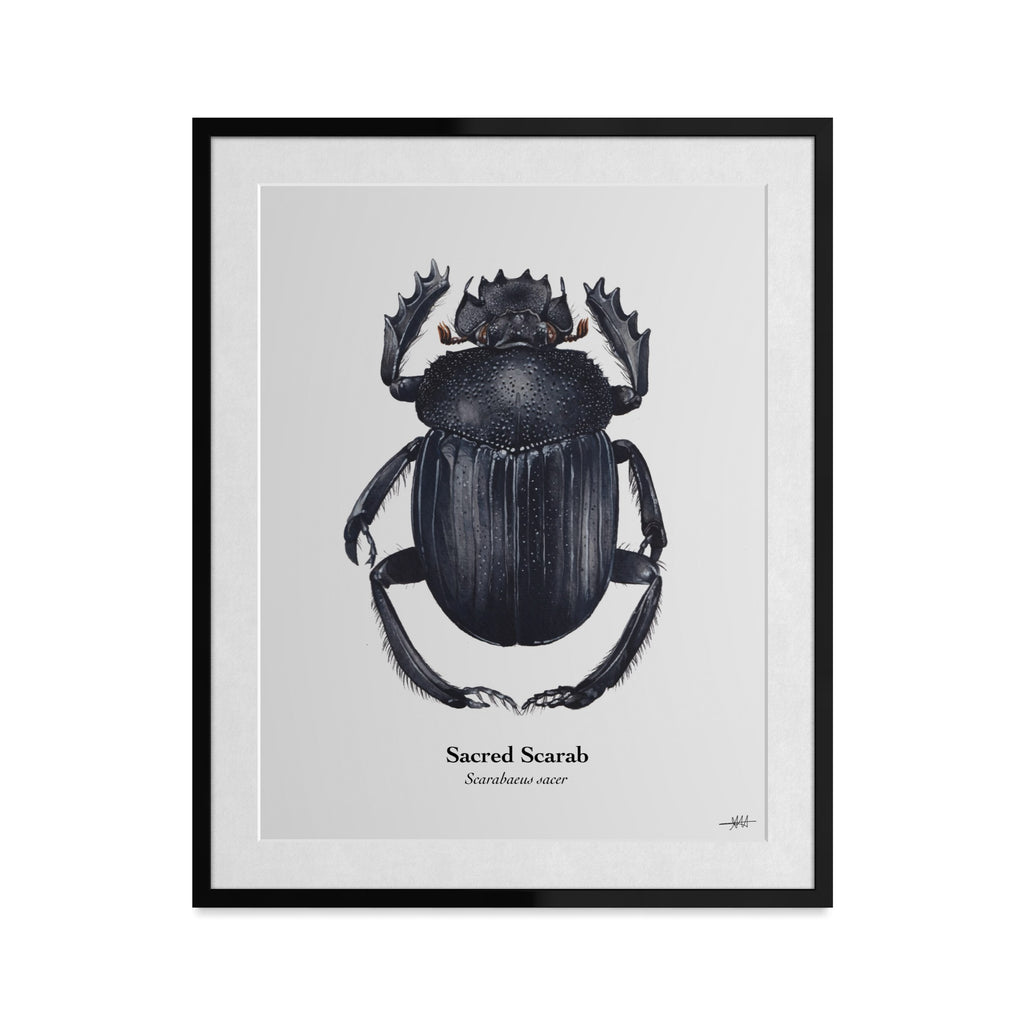 Sacred Scarab Art Print