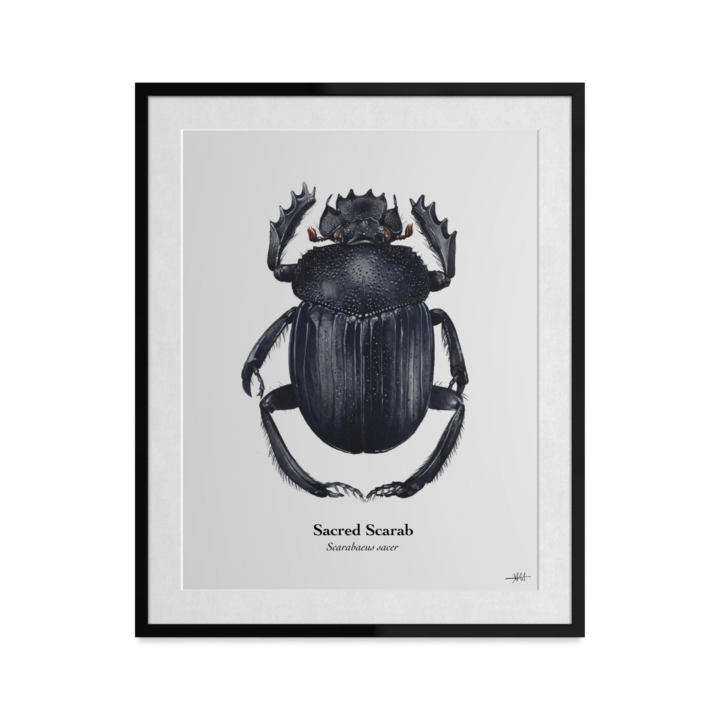 Sacred Scarab Art Print