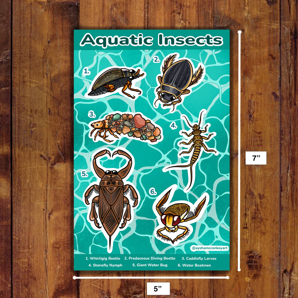 Aquatic Insects Sticker Sheet