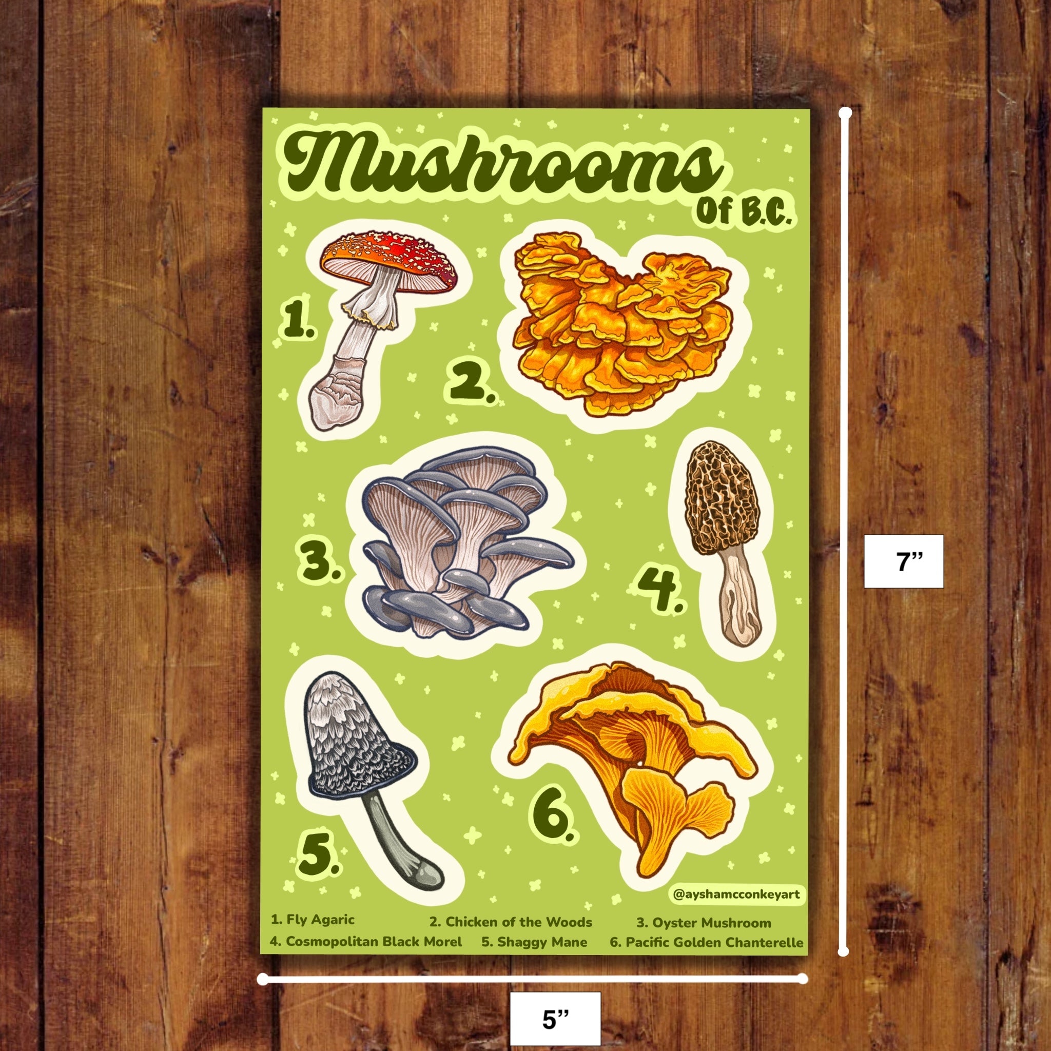 Mushroom Sticker Sheet