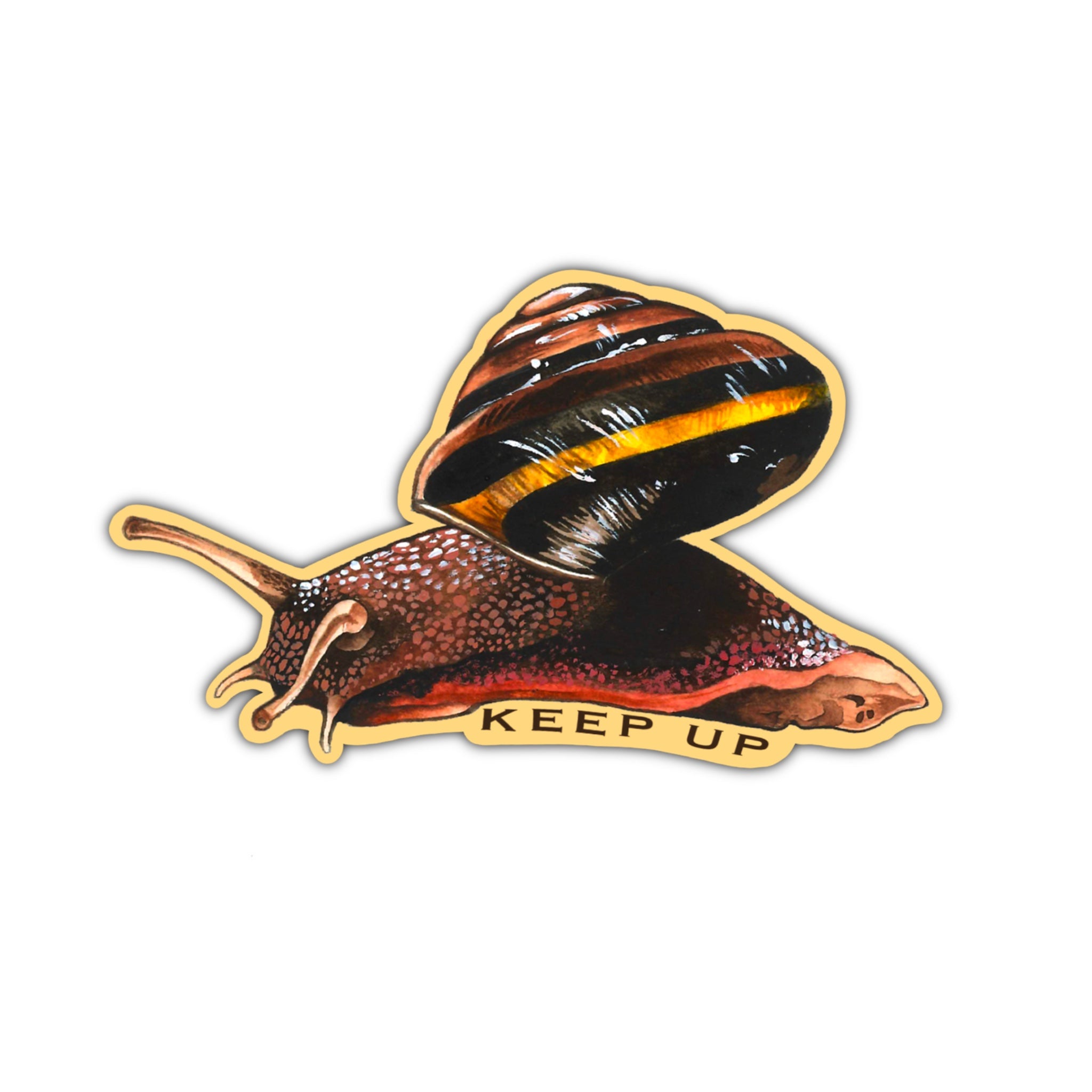 Keep Up Sideband Snail Sticker