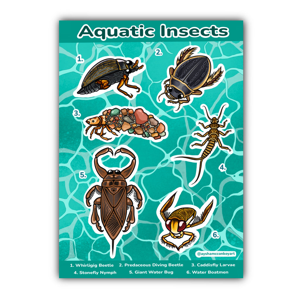 Aquatic Insects Sticker Sheet