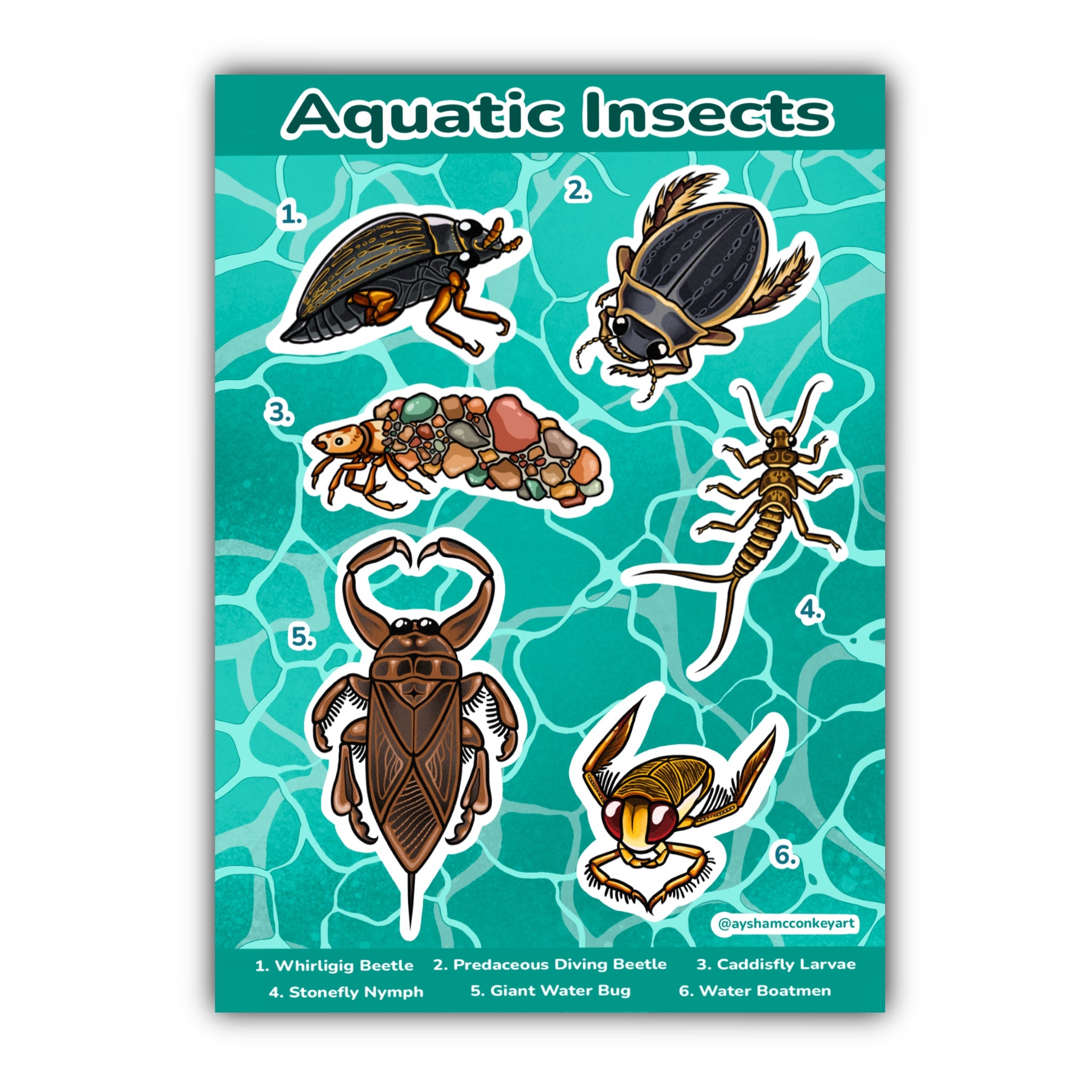 Aquatic Insects Sticker Sheet