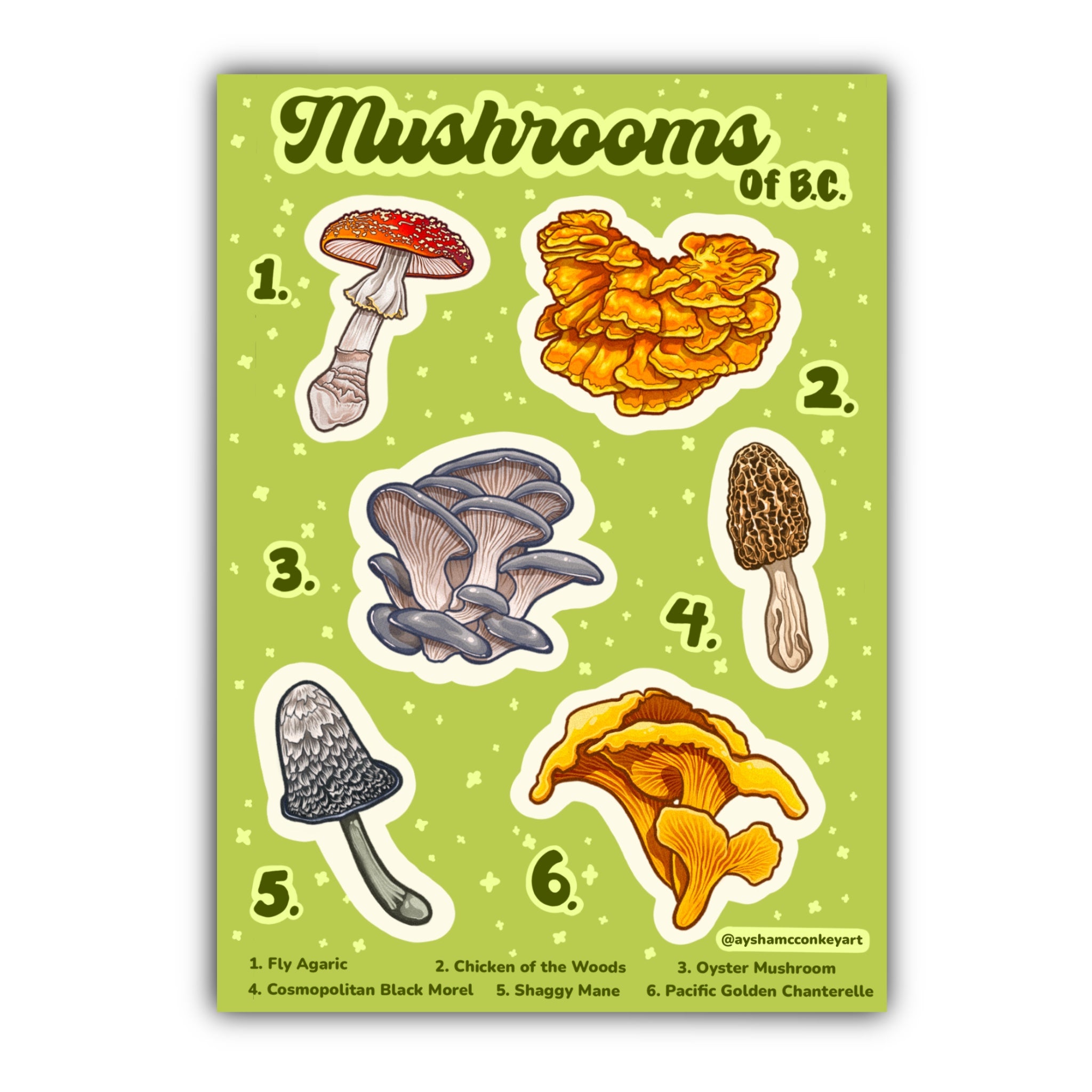 Mushroom Sticker Sheet