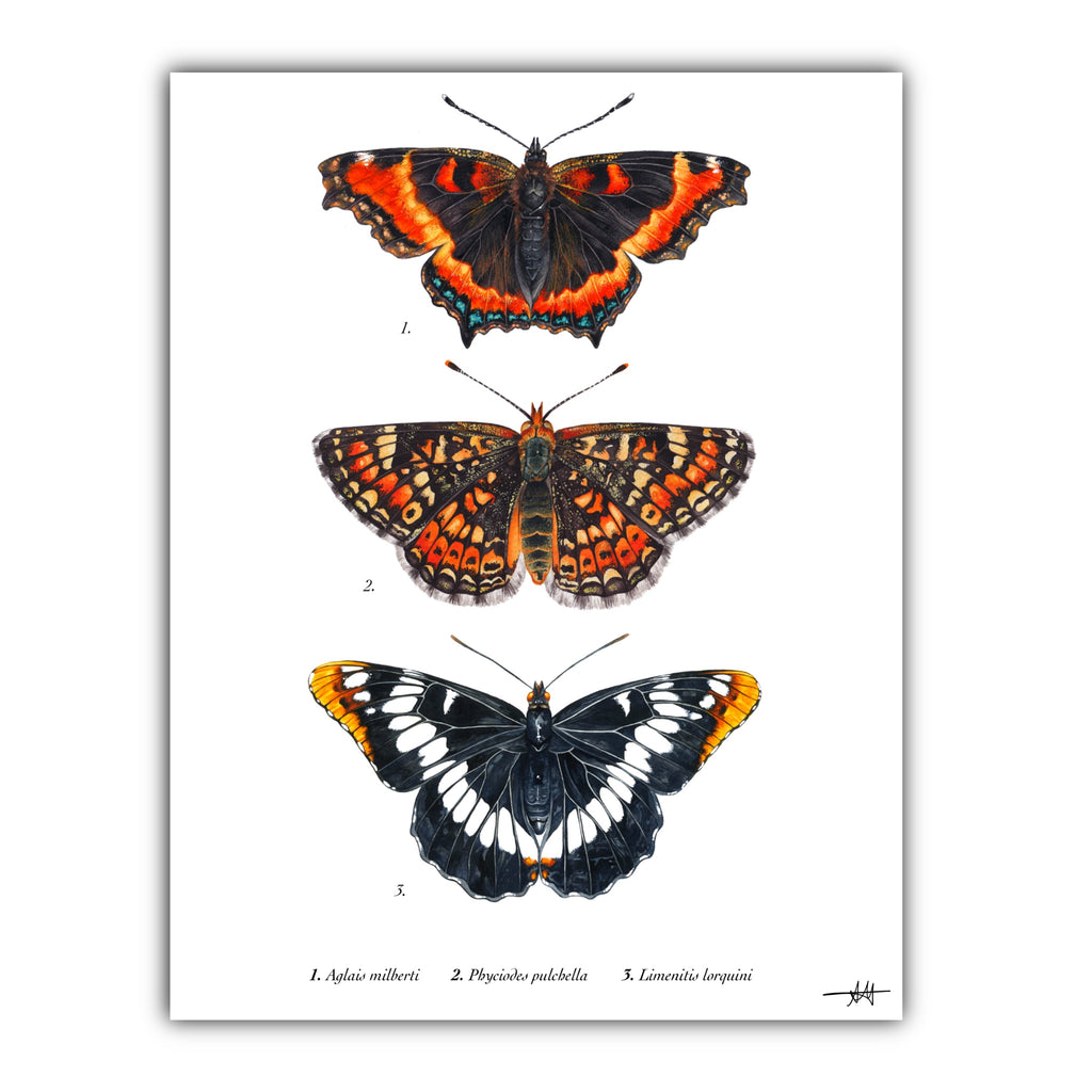 Orange Butterflies Art Print