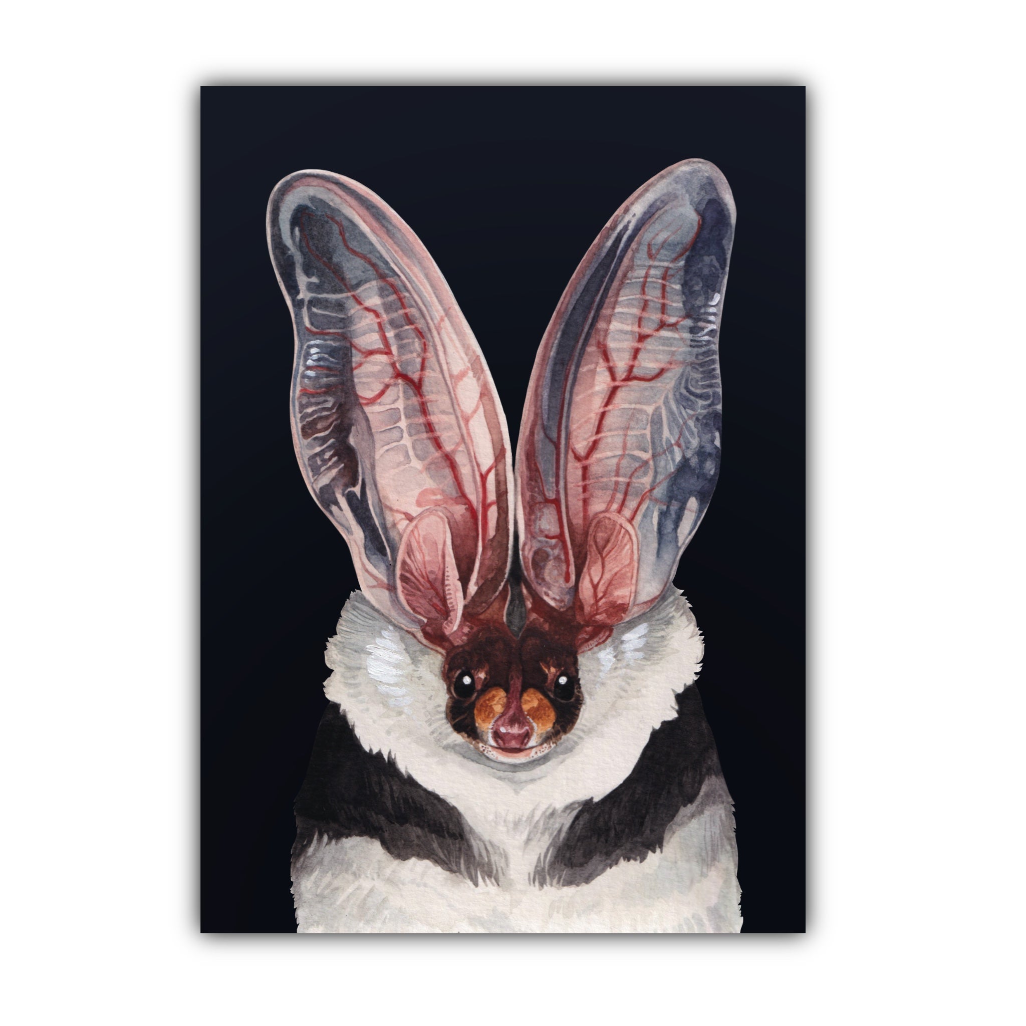 Spotted Bat Print