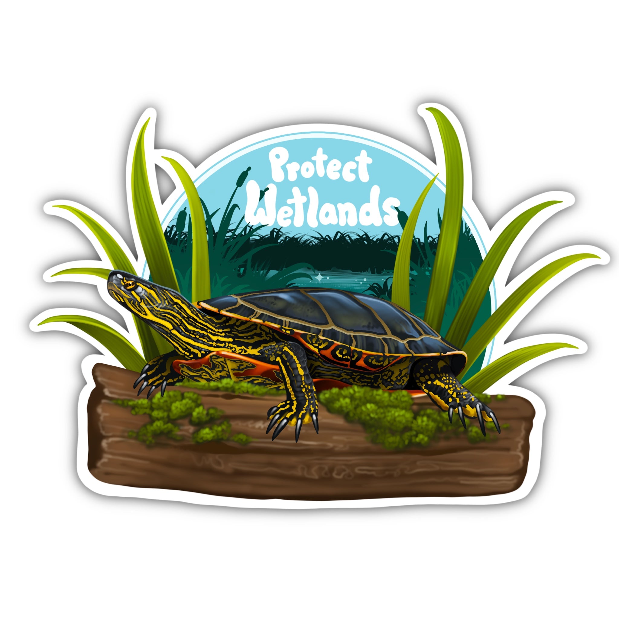 Protect Wetlands Sticker