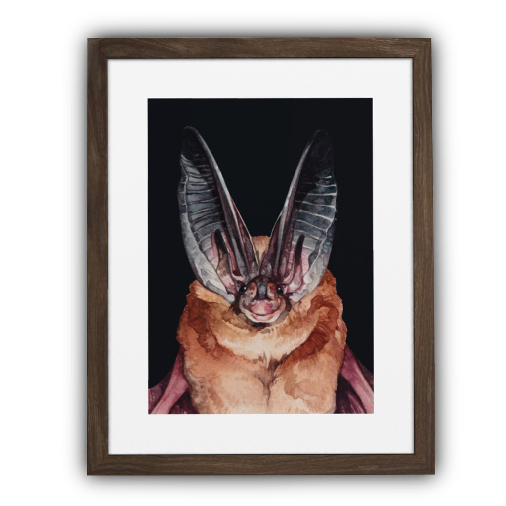 Townsend Big-eared Bat Print