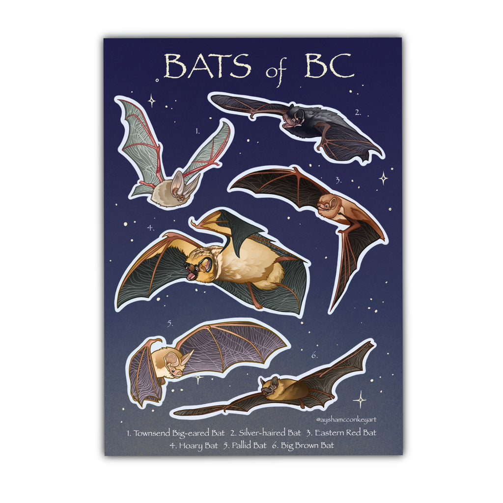 Bats of BC Sticker Sheet