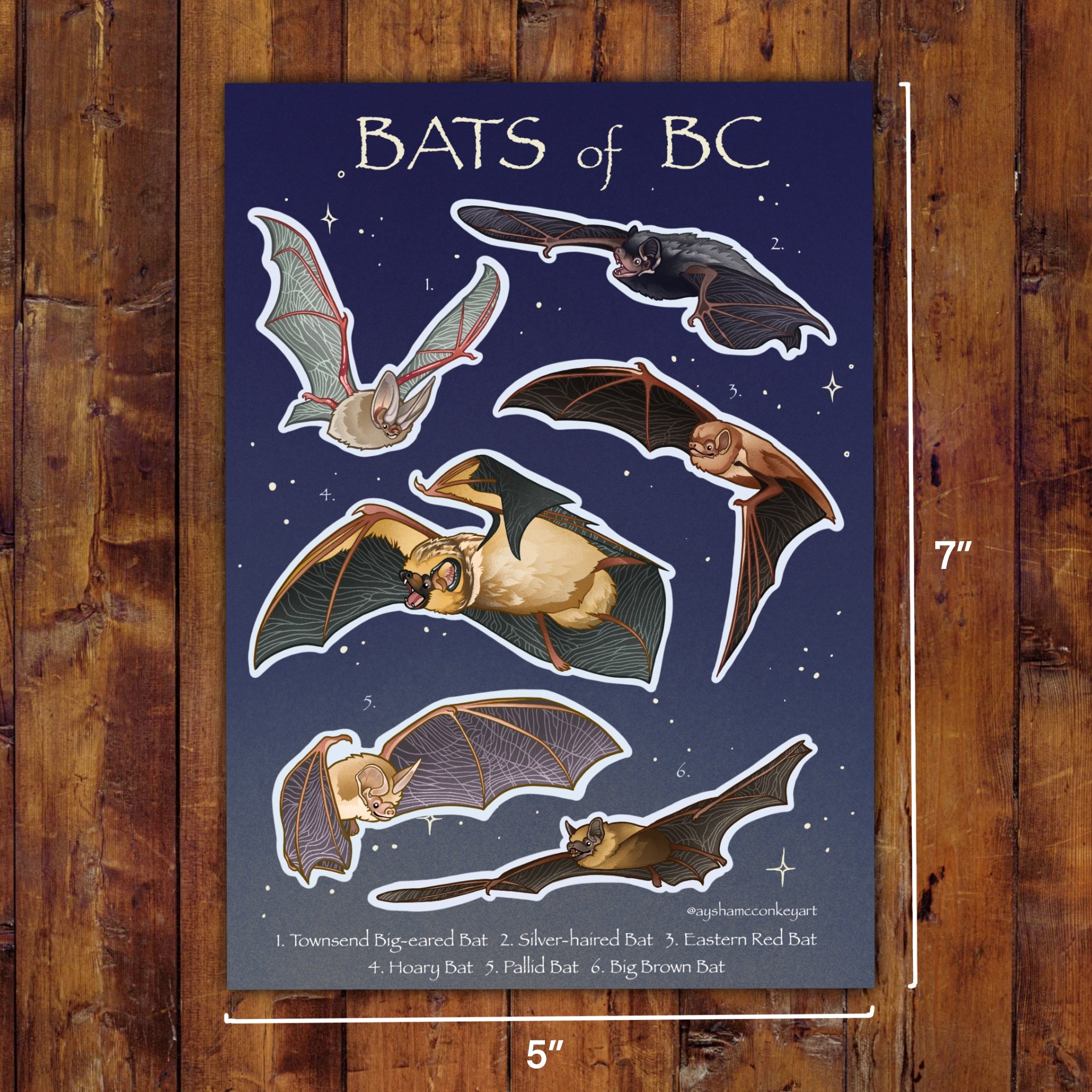 Bats of BC Sticker Sheet