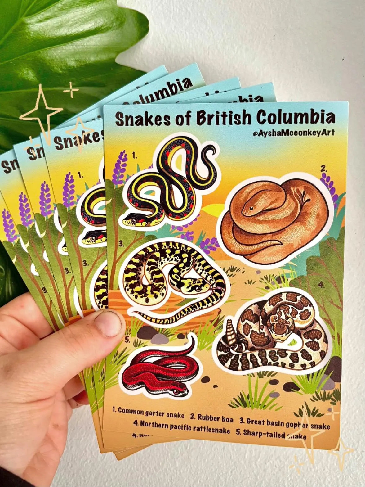 Snakes of BC Sticker Sheet
